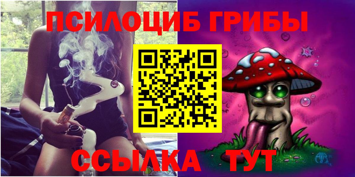 Псилоцибиновые грибы Psilocybine cubensis  где можно купить   Гусь-Хрустальный  Вход с VPN 